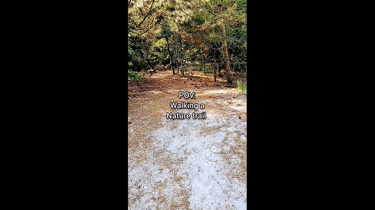 POV: {Walking a nature trail}