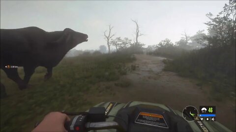 Driving From One Outpost To Another In Parque Fernando - theHunter: Call Of The Wild - Let's Drive