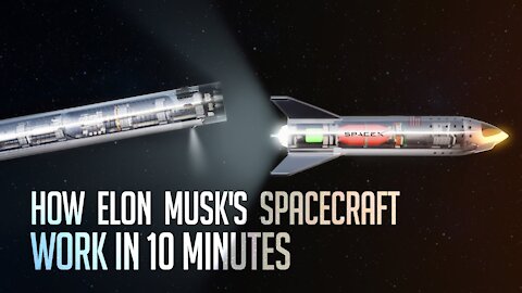 How All of Elon Musk's Spacecraft Work in Just 10 Minutes