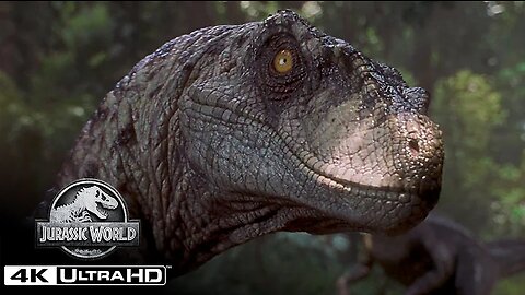 The Best Velociraptor Scenes in 4K HDR _ Jurassic World