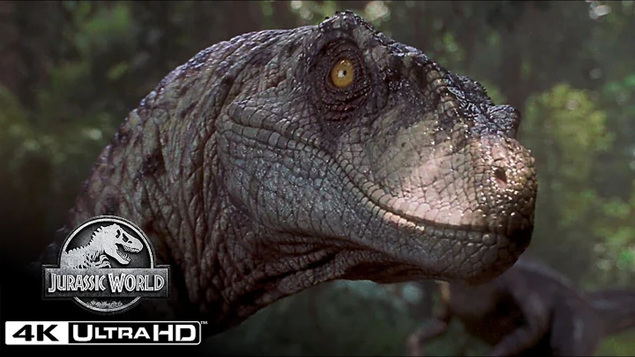 The Best Velociraptor Scenes in 4K HDR _ Jurassic World