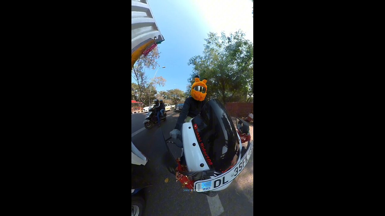 Bunny reaction public #bunny #reaction #bike #shorts #shortsfeed #viralvideo #z900rs