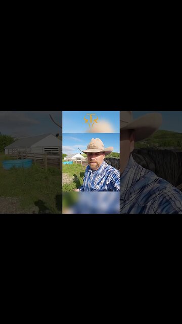 Cowboy's Trusty Canine Companions Keep Grizzlies at Bay! 🐶🐻