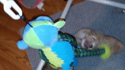 J Litter - Kitchen Time(1)