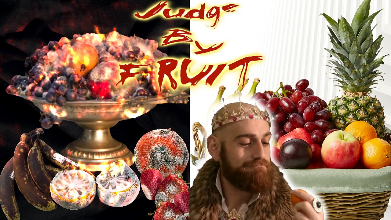 Judge By FRUIT (DIANOIGO project)
