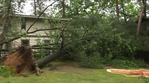 'Very scary': Tuesday storm damage covers Wautoma with debris, downs dozens of trees