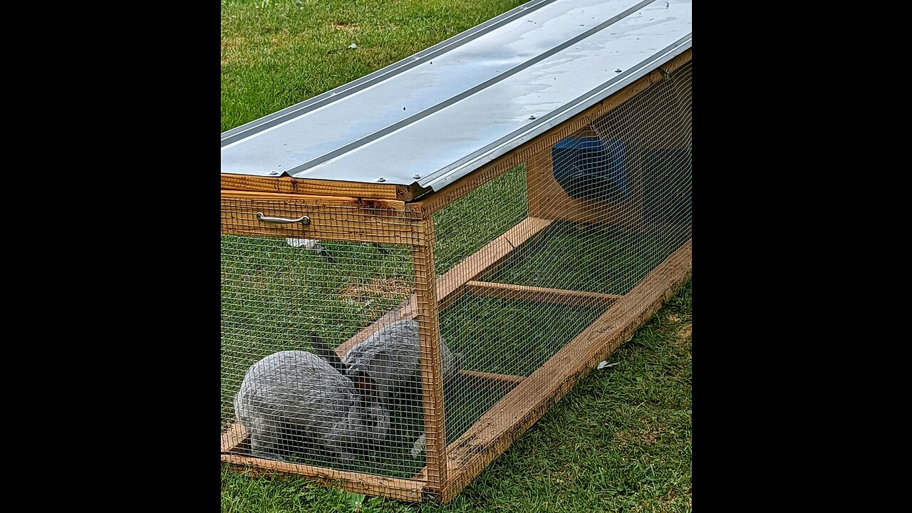 Building a rabbit tractor