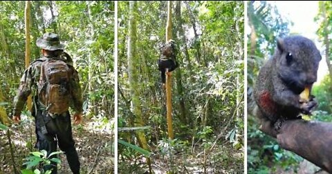 Learn to climb a tree like a squirrel