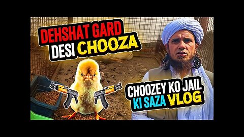 Mufti Tariq Masood Vlogs | Home Zoo Vlog Part 1