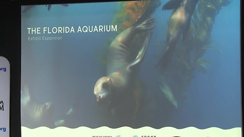 Florida Aquarium announces $40M expansion | Press Conference