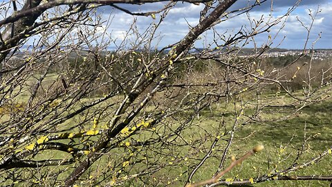 Rab Anderson 7 - Allermuir Hill from Dreghorn