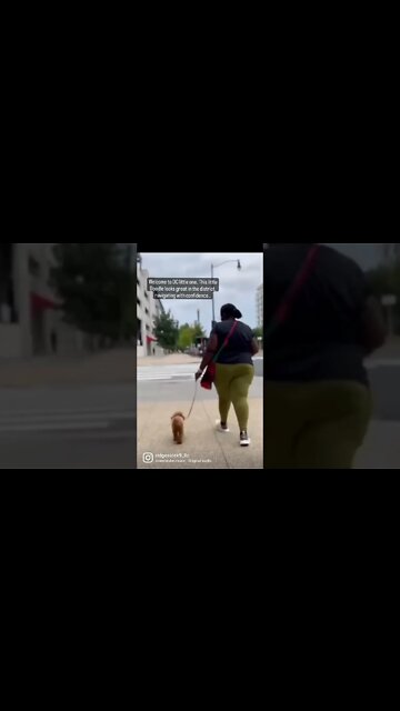 Welcome to the district...