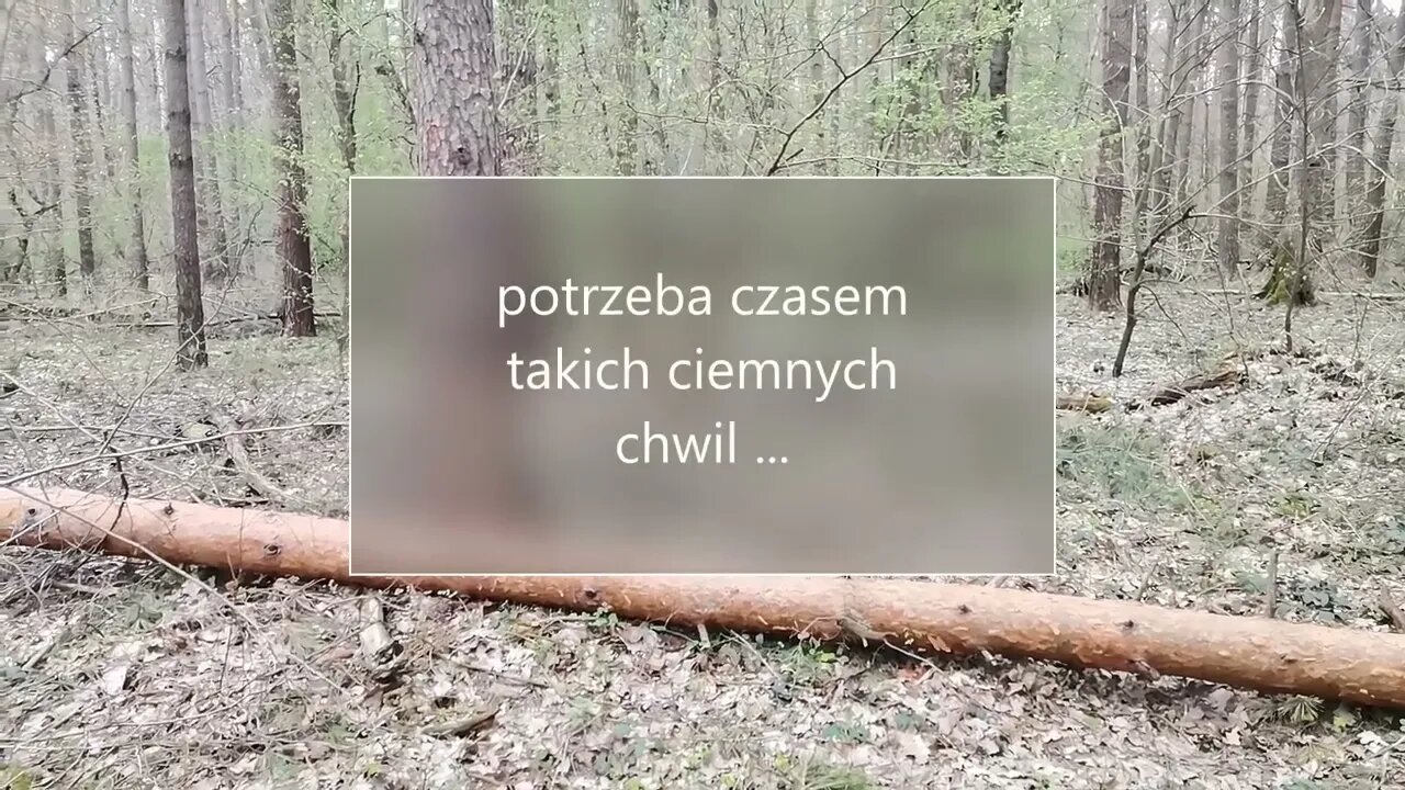 potrzeba czasem takich ciemnych chwil ...( autorem tych przemyśleń jest moja córka )