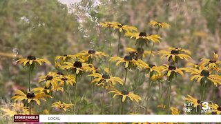 Gretna Girl Scout earns Gold Award for building a pollinator garden at Lauritzen Gardens