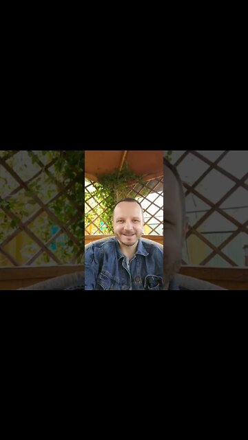 Short videos about the dacha