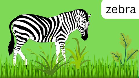 Zebra Facts