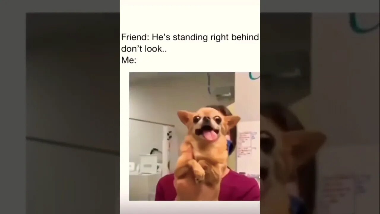 Nooo i cant seeee😂 please get this viral | #shorts | #viral | #funny | #subscribe | #shortswithkye