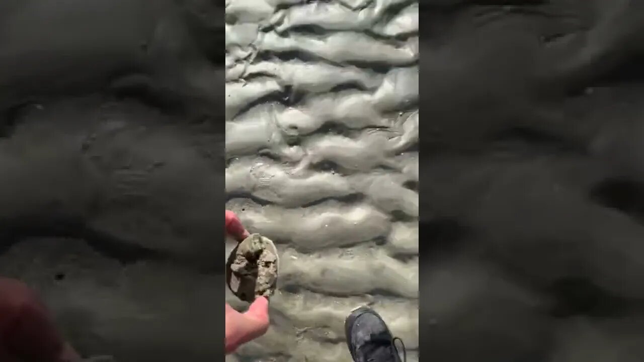 Have You Ever Seen These? Tiktok page geters