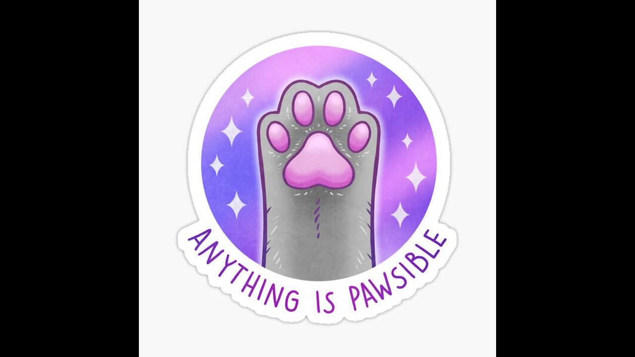 With a cat, anything is paw-sible (Hilarious)