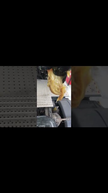 #shorts #2022 funny,prank,funjokes,dad jokes,funny memes,funny video,fun,laughing,funny animal,knock