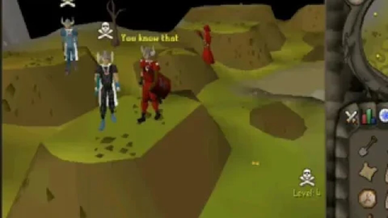 RS Wildy Clue