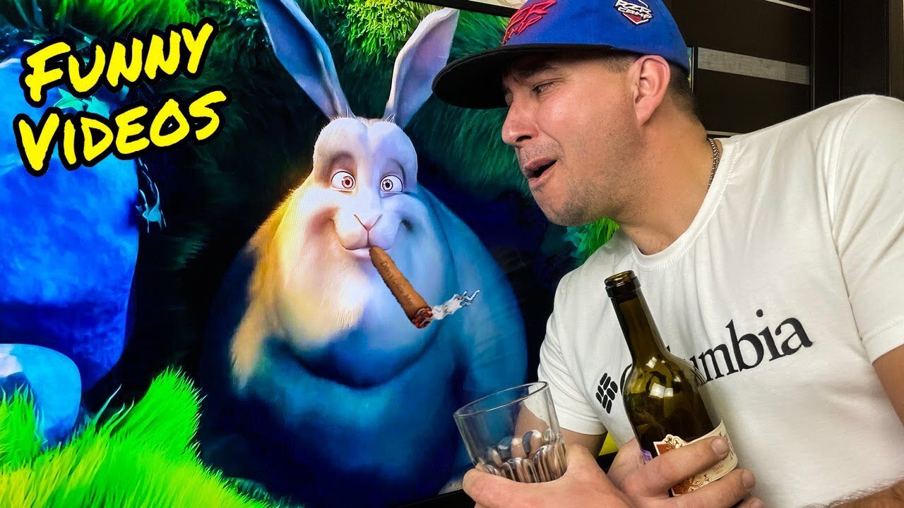 Try Not To Laugh Funny Videos 2022