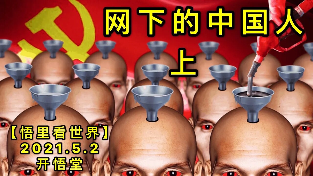 KWT1628(上) 网下的中国人20210502-2【悟里看世界】