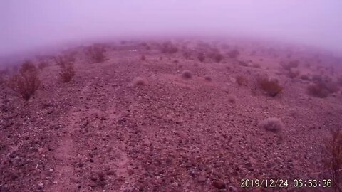 Misty Morning in the High Desert