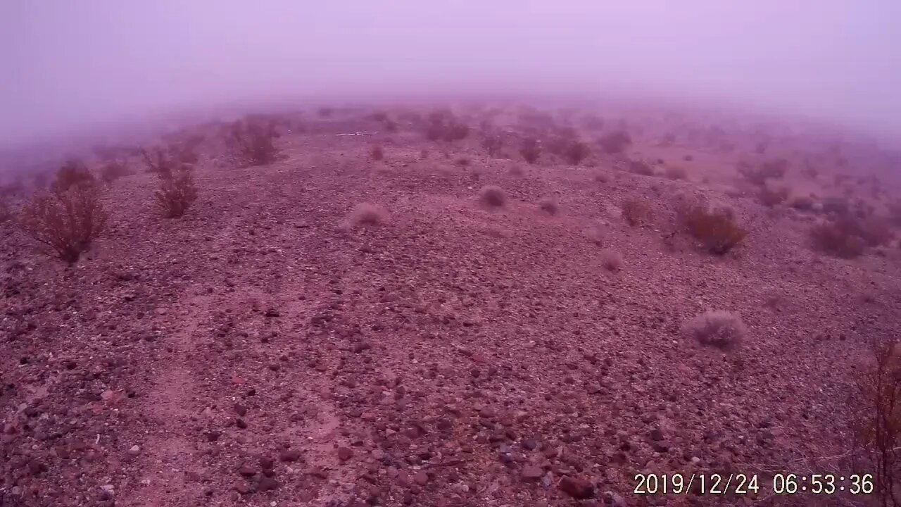 Misty Morning in the High Desert