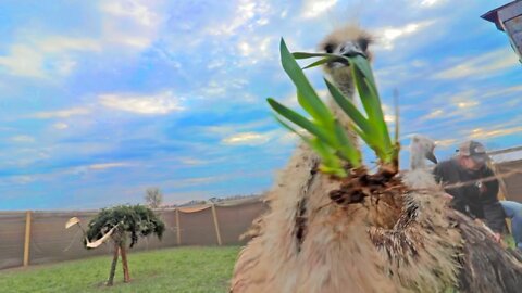 the EMU landscaping is going really well 😳