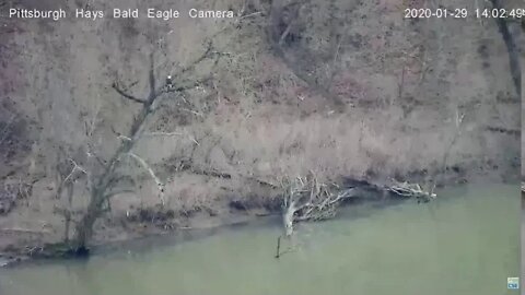Hays Eagles Mom across river