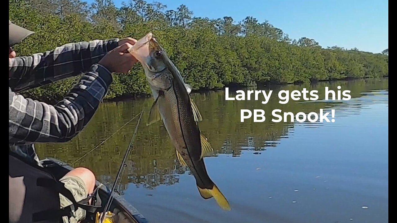 Urban Backwaters 002, Larry's PB Snook followed by a Jack Attack