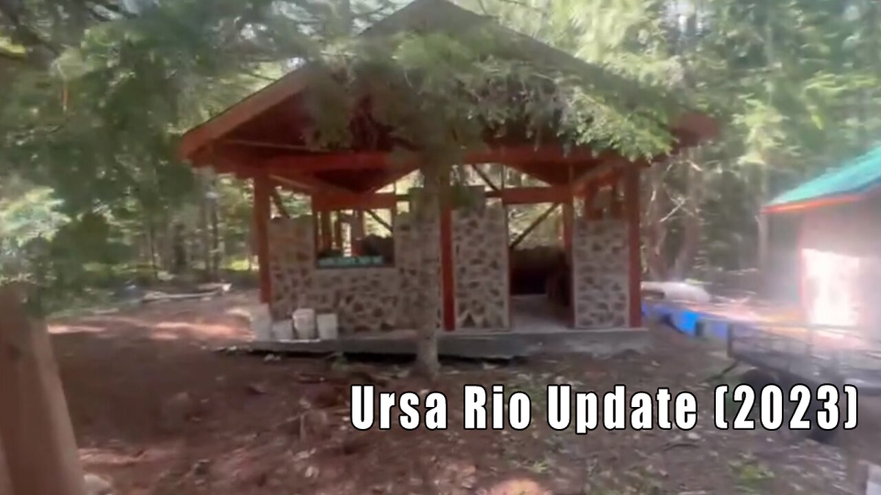 Owen Benjamin, Instagram Short 🐻 Ursa Rio Update (2023)