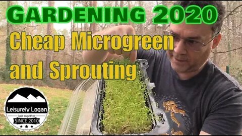 Microgreens and Sprouting done Cheap