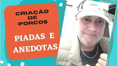 PIADAS E ANEDOTAS - CRIAÇÃO DE PORCOS