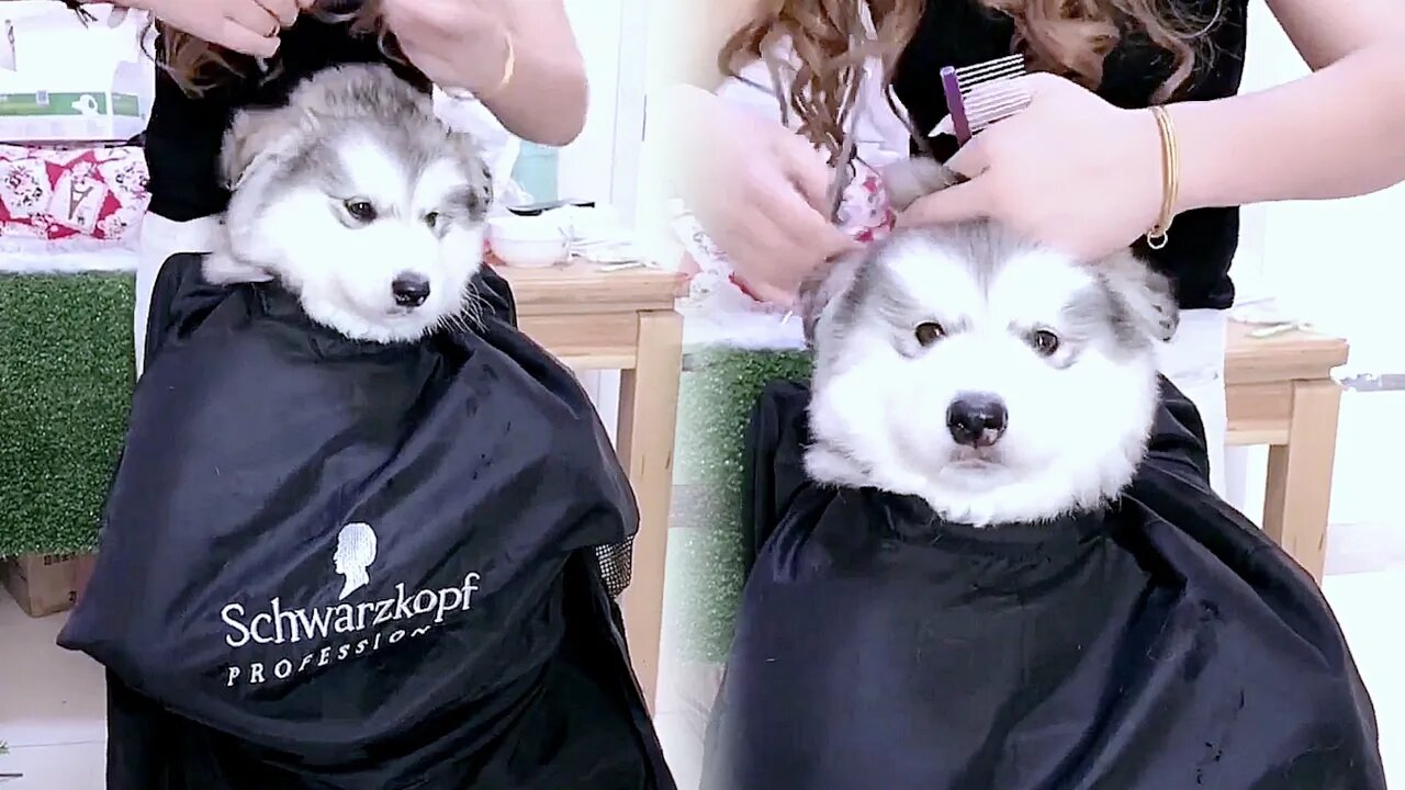Look how reluctant he is