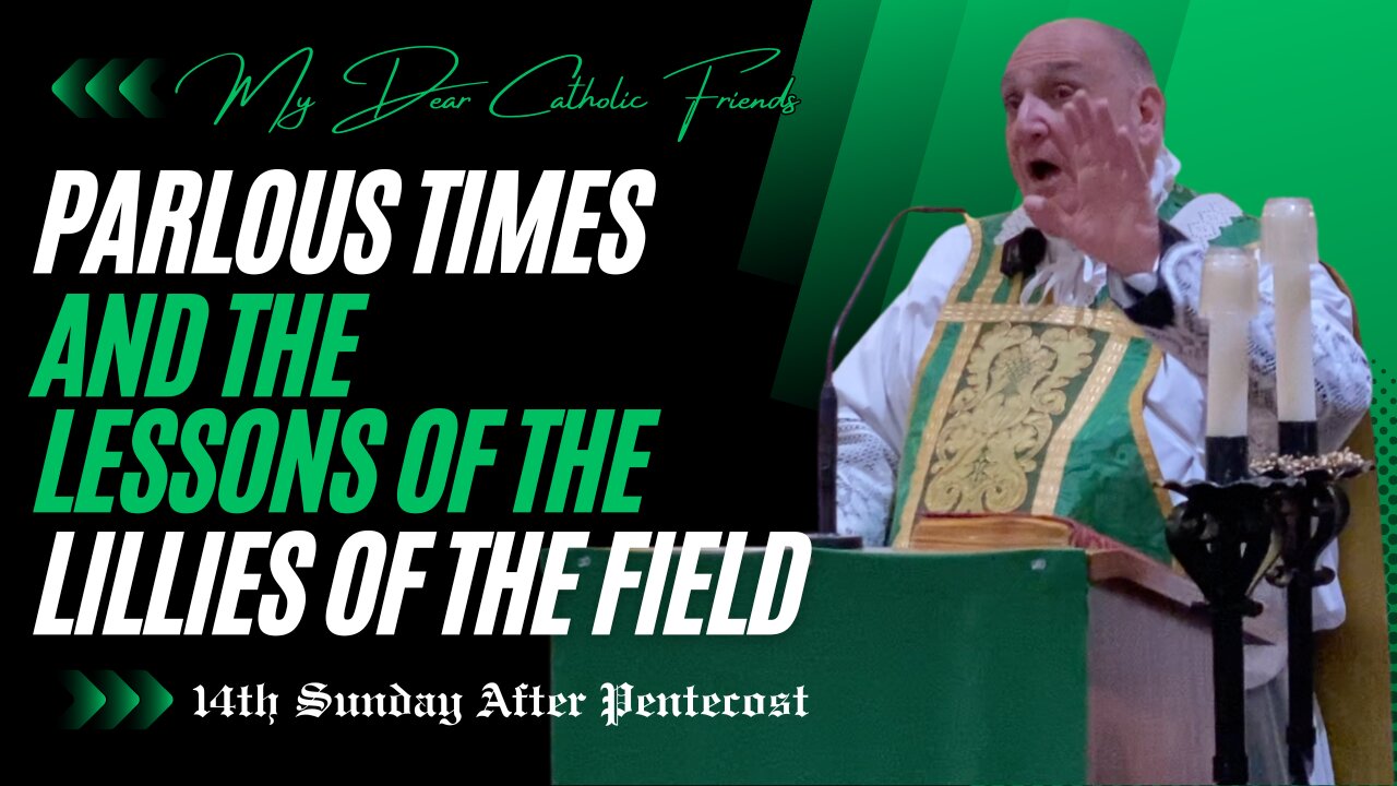 Parlous Times And The Lessons Of The Lillies Of The Field | 14th Sunday After Pentecost (2024)