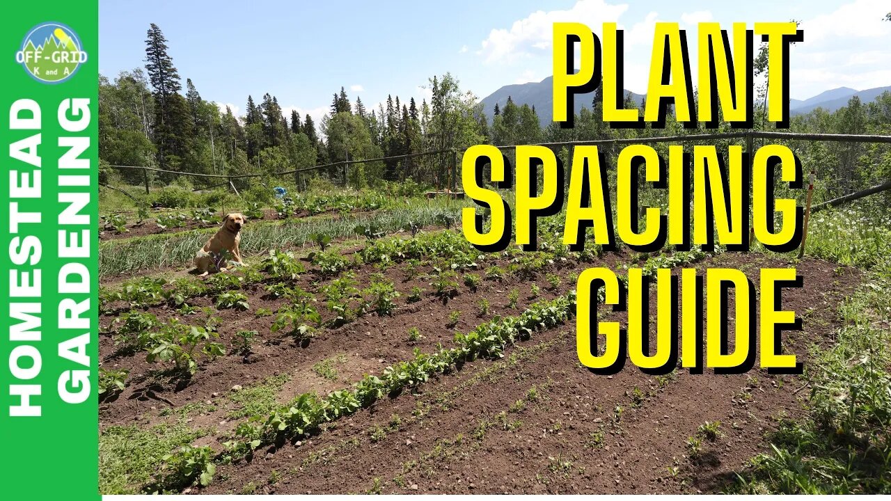 Garden Planner & Plant Spacing Guide - New Homestead Vlog