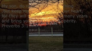 Daily Bible Verse short for day of December 7 2022