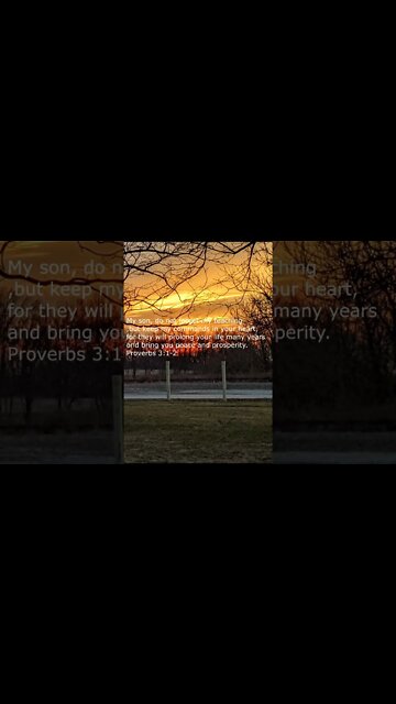 Daily Bible Verse short for day of December 7 2022