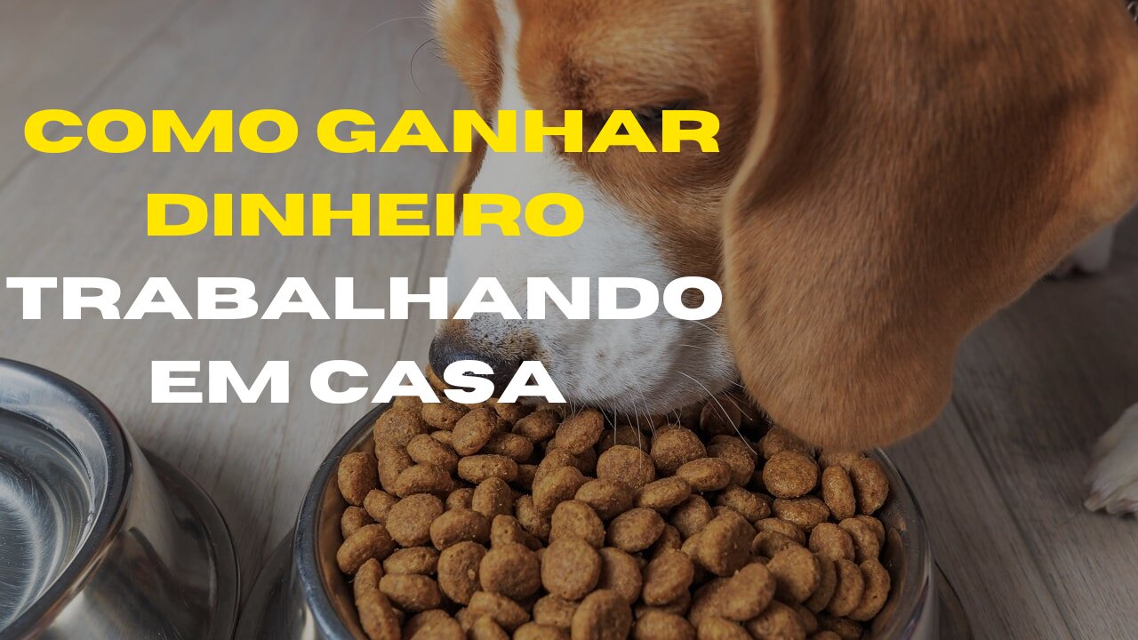 Como ganhar dinheiro trabalhando em casa Fazer biscoitos para cães