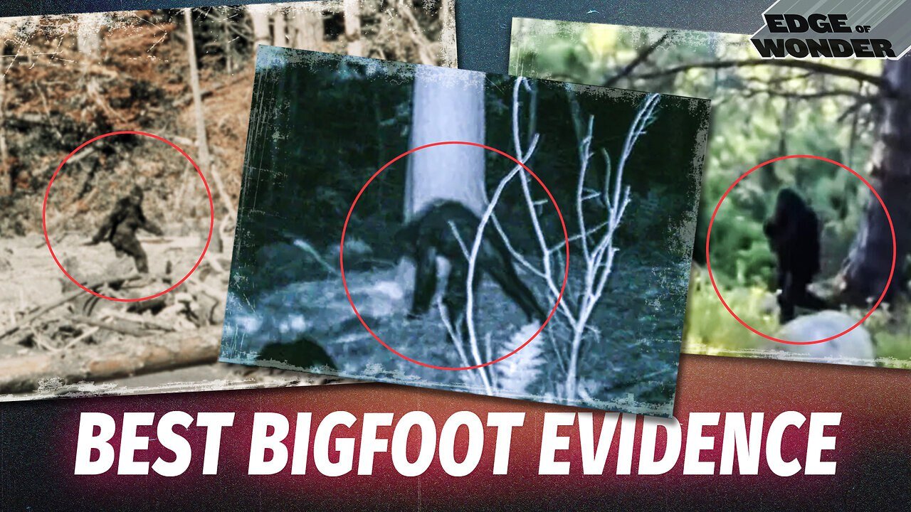 The Best Bigfoot Evidence & Real Encounters: What Is Sasquatch?