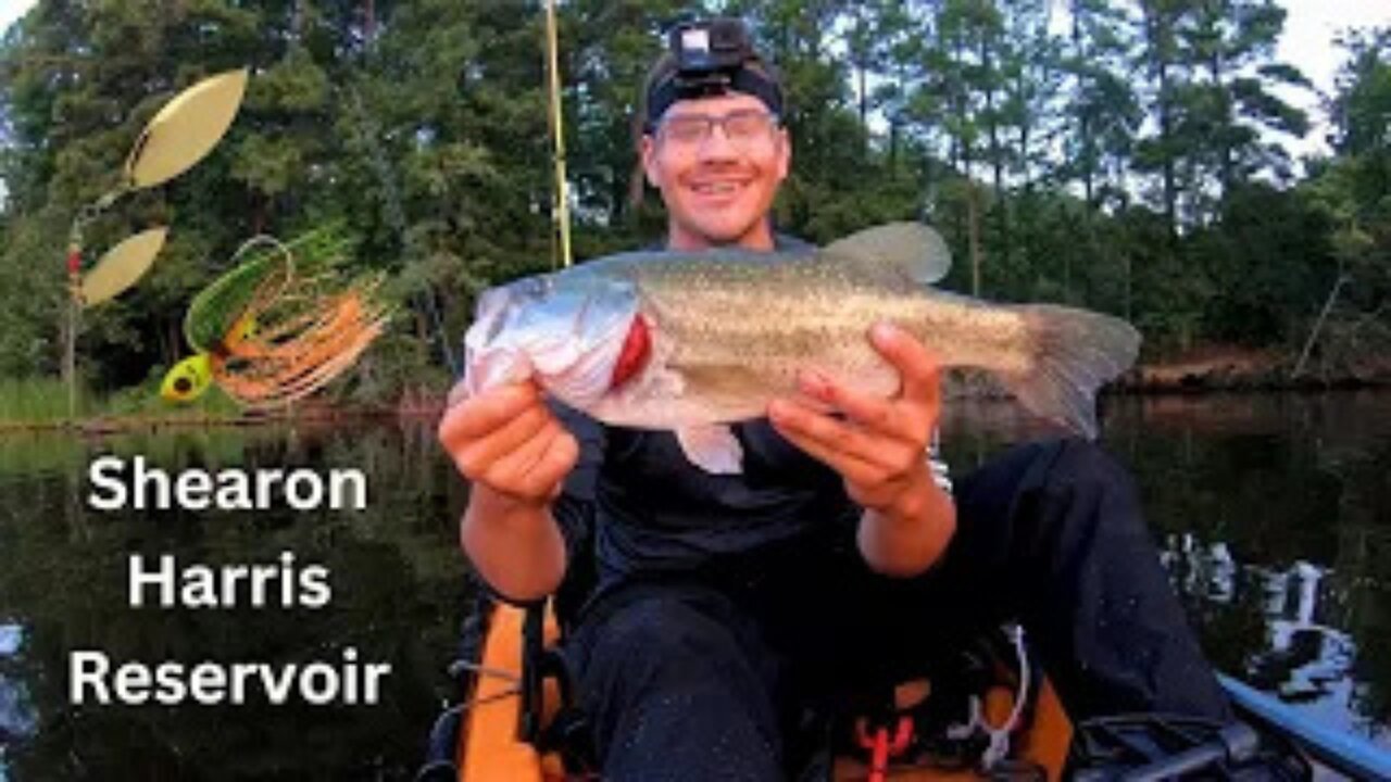 Huge Bass Slams Spinnerbait. On Shearon Harris Reservoir.!!!