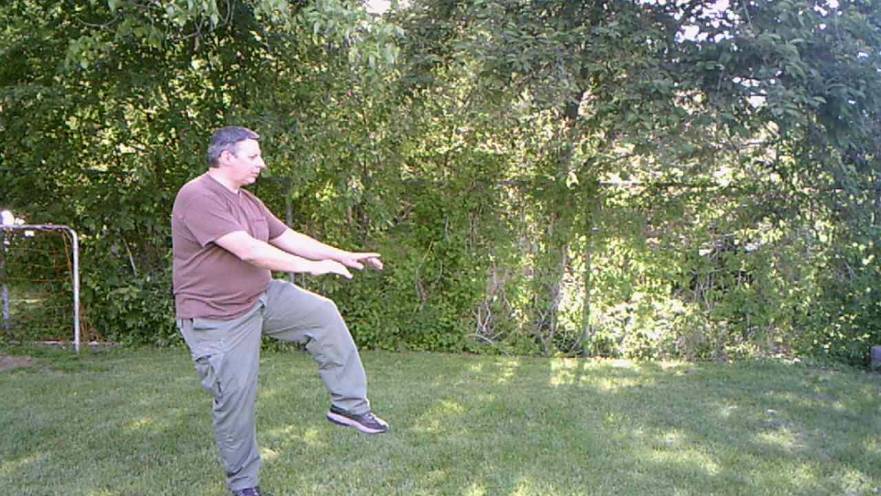 Hunyuan 24 form posture 08 Lift hands and raise knee