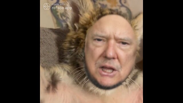 The Ultimate Donald Trump Baby Cheetah Meme! 🐆