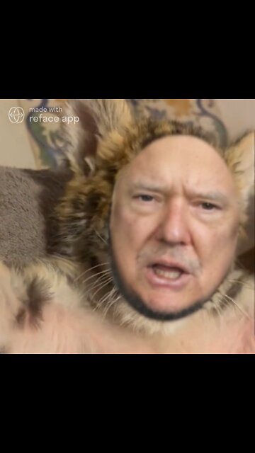 The Ultimate Donald Trump Baby Cheetah Meme! 🐆