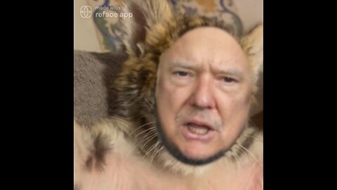 The Ultimate Donald Trump Baby Cheetah Meme! 🐆