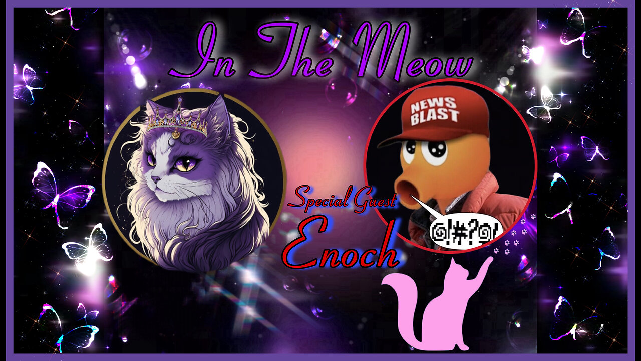 In The Meow | New Years Celebration With Special Guest Enoch