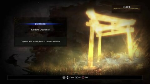 Road to Platinum: Nioh 2