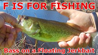 Bass on a Floating Jerkbait